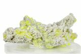 Striking Sulfur Crystals on Fluorescent Aragonite - Italy #282572-1